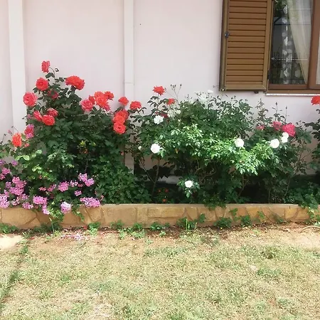 Vila Shahin Ahmeti Εξαμίλιο