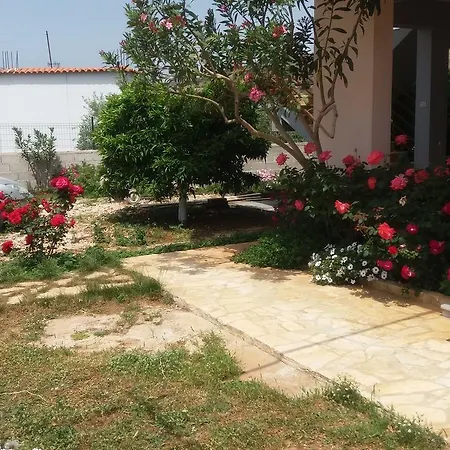 Vila Shahin Ahmeti 3* Εξαμίλιο